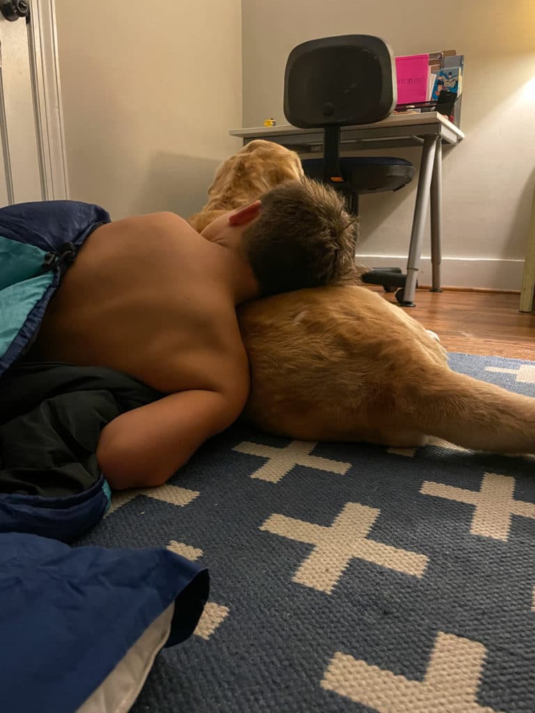 little boy and dog sleeping Birthday Dinner at Public + September Life Lately
