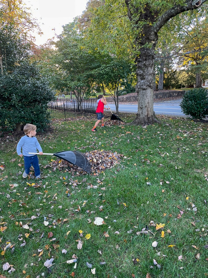 kids raking leaves kids raking leaves | The Inn At Stinson Vineyards + Bday recap