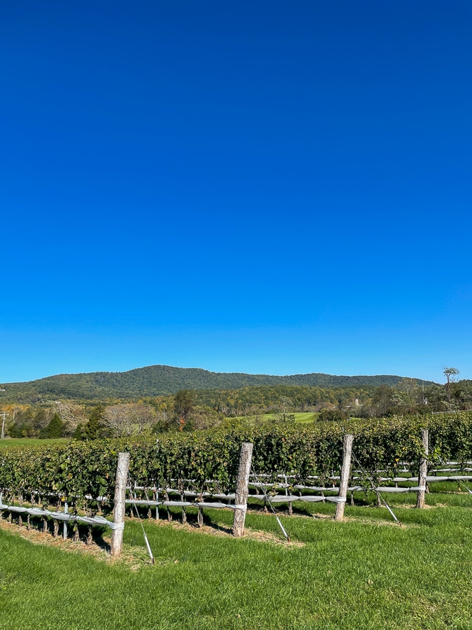 The Inn At Stinson Vineyards review