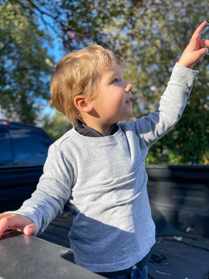Birch fall outfit