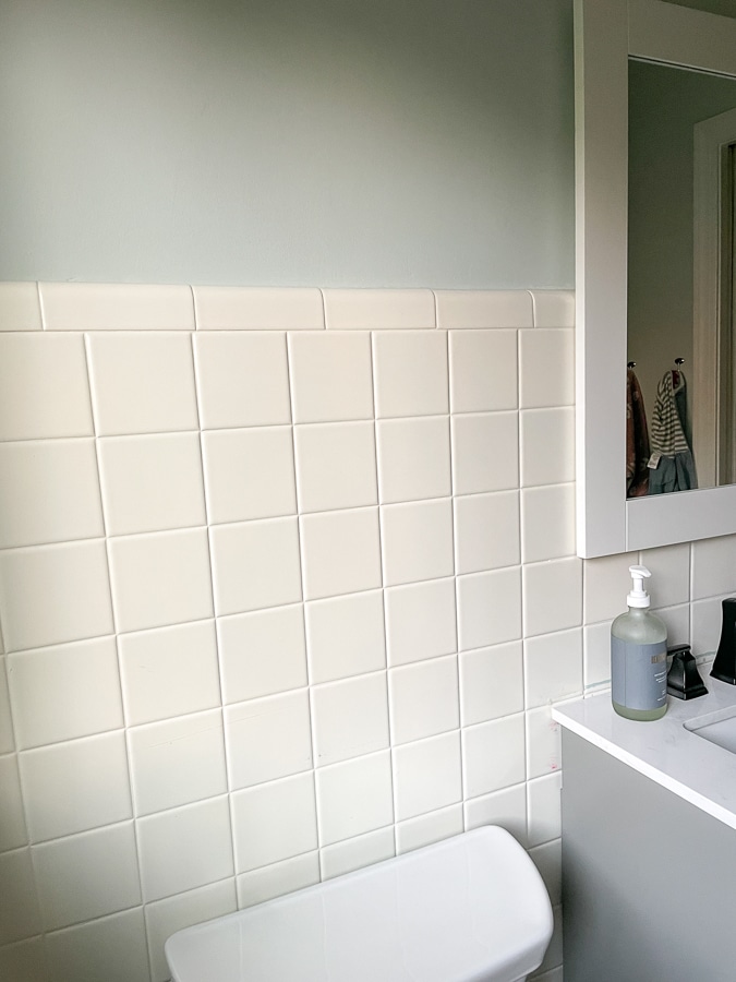 Valspar Winter in Paris wall paint