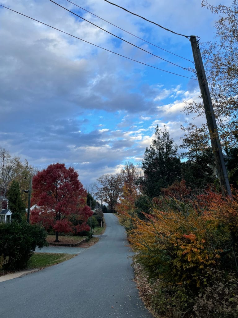 5:00 walk view