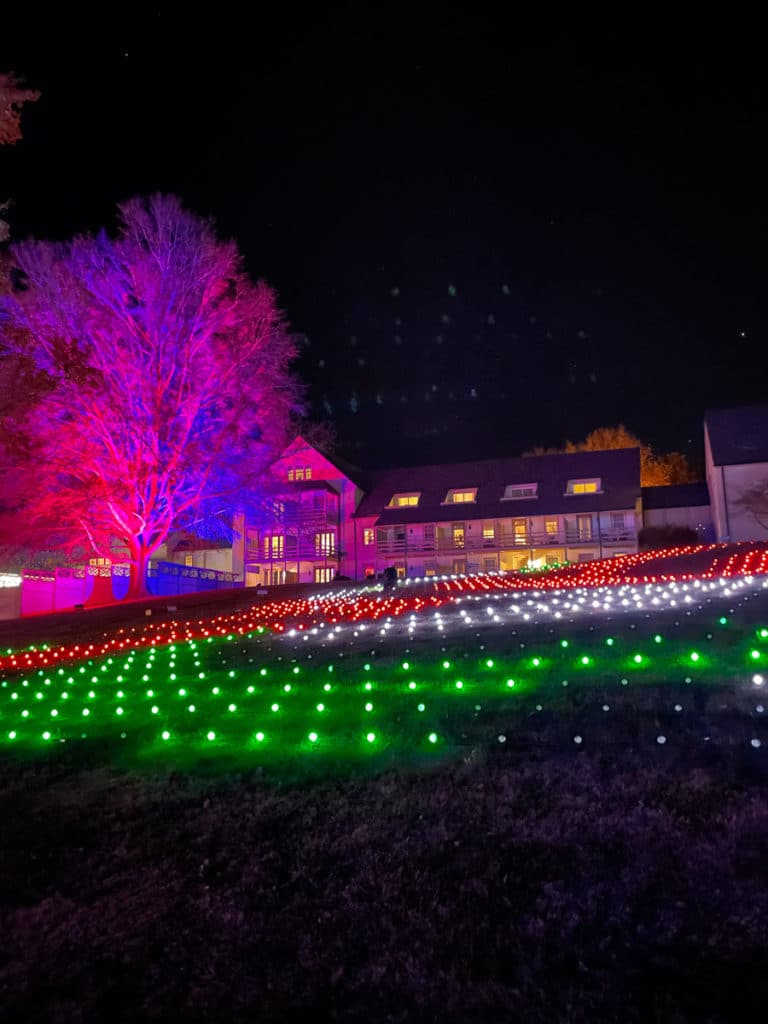 Winter Wander Trail Of Lights lawn lights