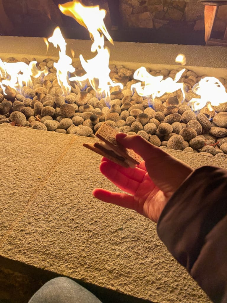 Winter Wander Trail Of Lights smores by the fire