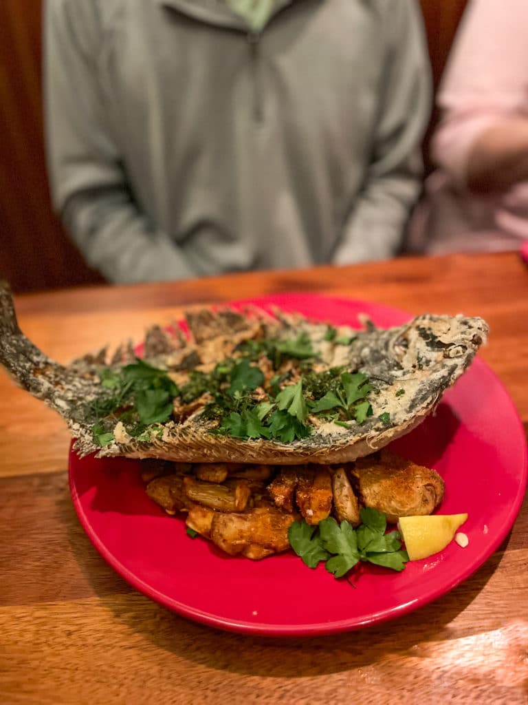 Siren Cville flounder Siren Cville flounder