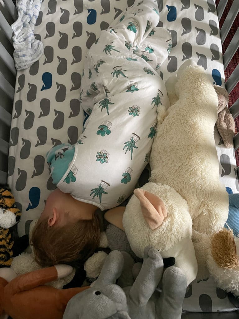 toddler sleeping toddler sleeping