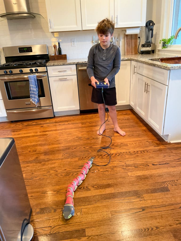 remote control snake remote control snake - Winter Break Fun
