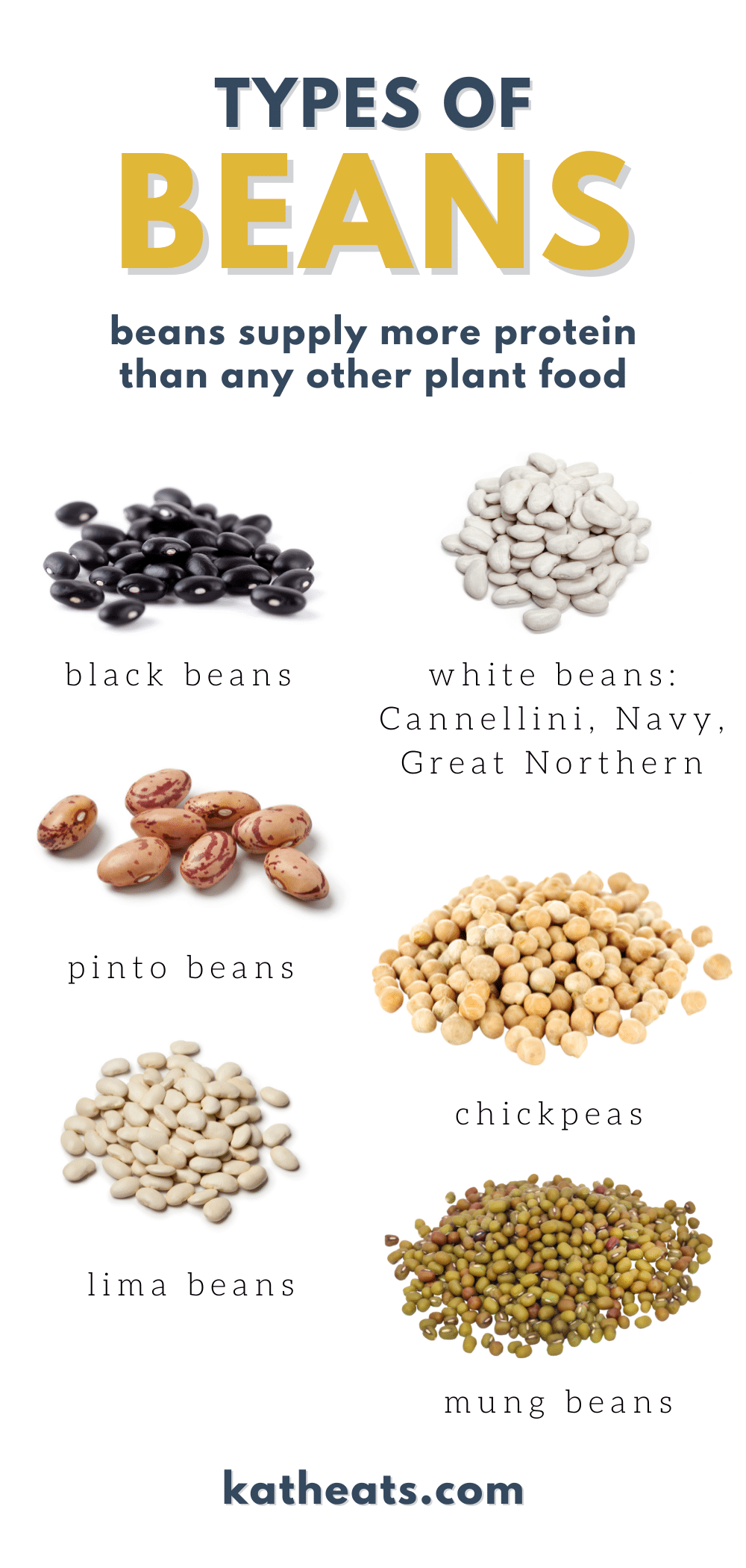 4 types of beans 4 types of beans