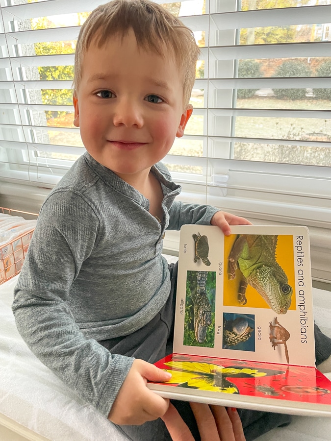 toddler reading books toddler reading books |Day In The Life