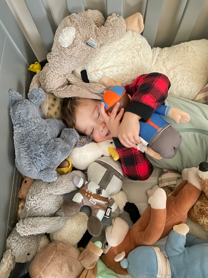 birch animal toys birch animal toys | Instagram vs Reality