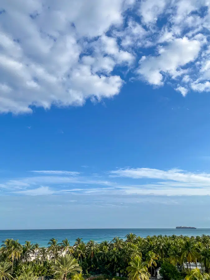 Miami Trip Miami Trip