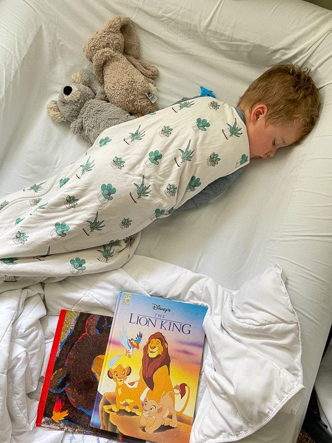 Succulent sleep sack by Kyte baby Succulent sleep sack by Kyte baby