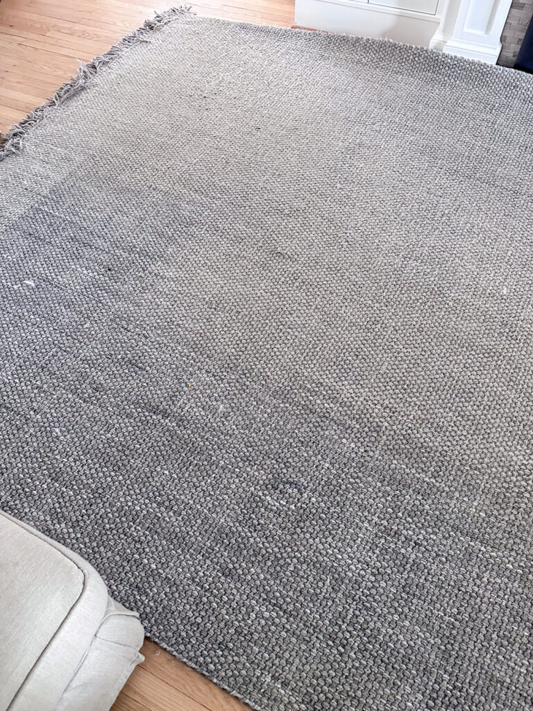 Pottery Barn Rug