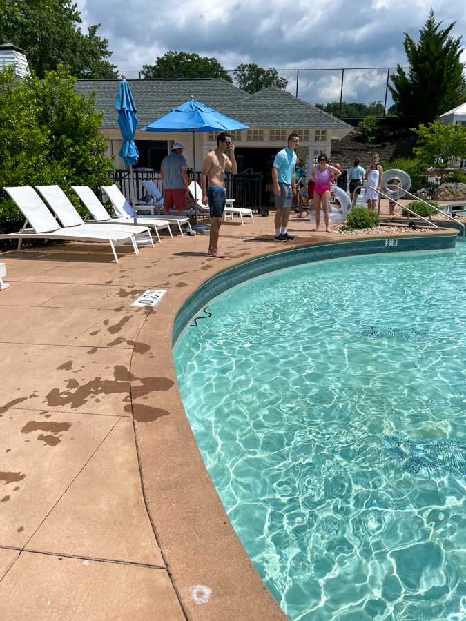 snake in the pool snake in the pool