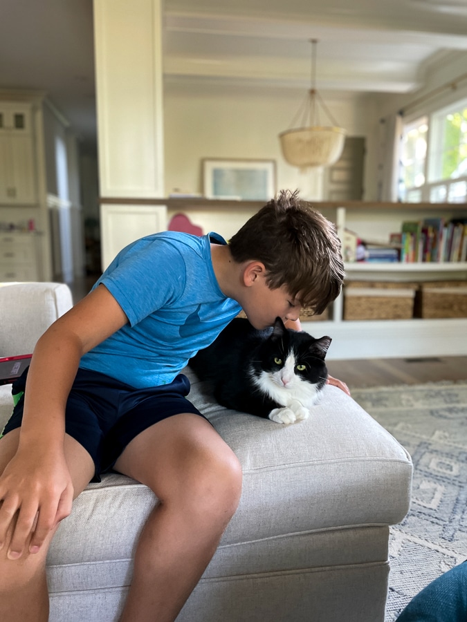 Mazen kissing cat Mazen kissing cat