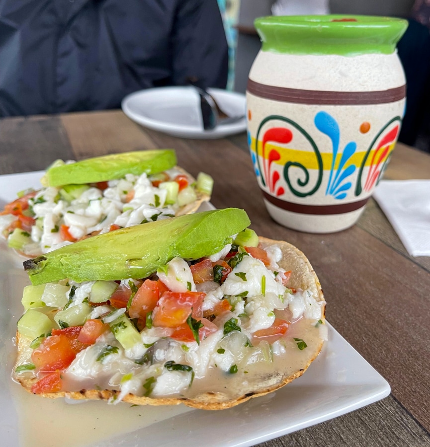 Conmole ceviche Conmole ceviche