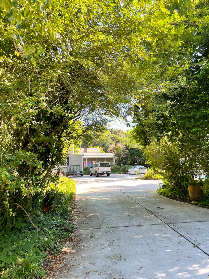 Monday Sunshine Monday Sunshine | Summer in Hillsborough