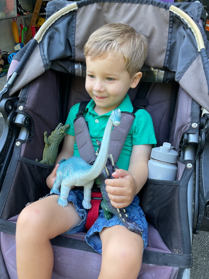 little boy in a stroller little boy in a stroller with dinosaur toys