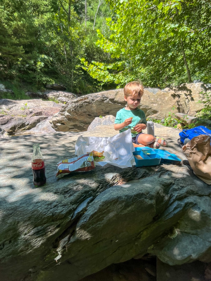 Sugar Hollow picnic Sugar Hollow picnic | Those End Of Summer Blues