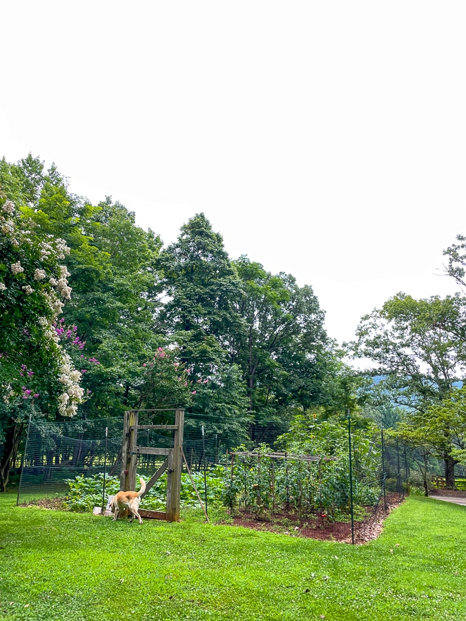North Gardening VA