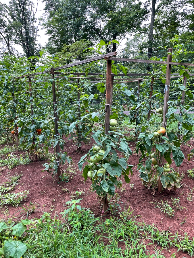 Garden tour in North Garden VA