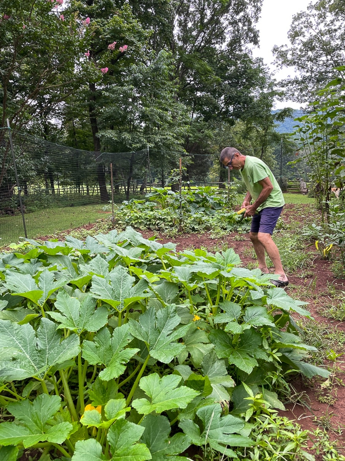 in-laws garden | North Gardening