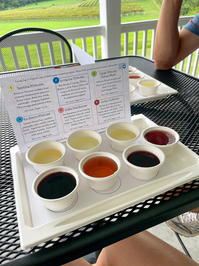 organic winemaking
