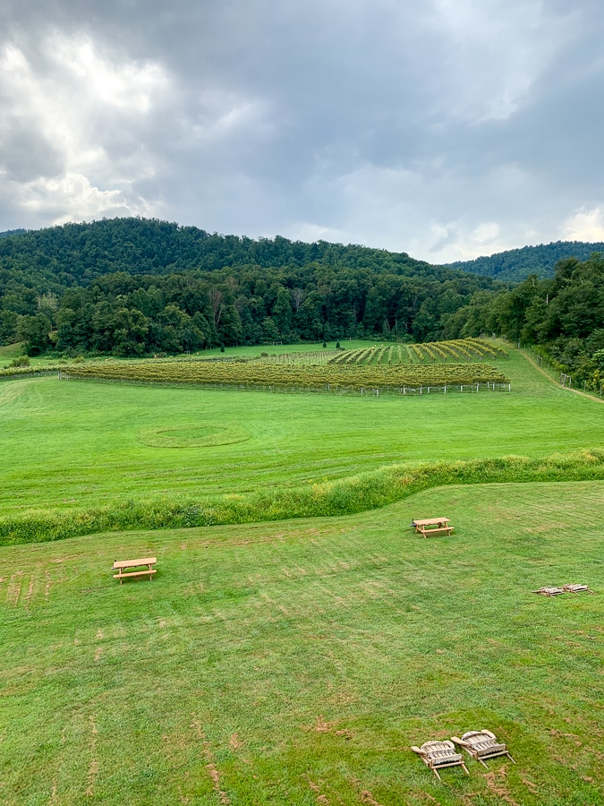 organic winery in Virginia