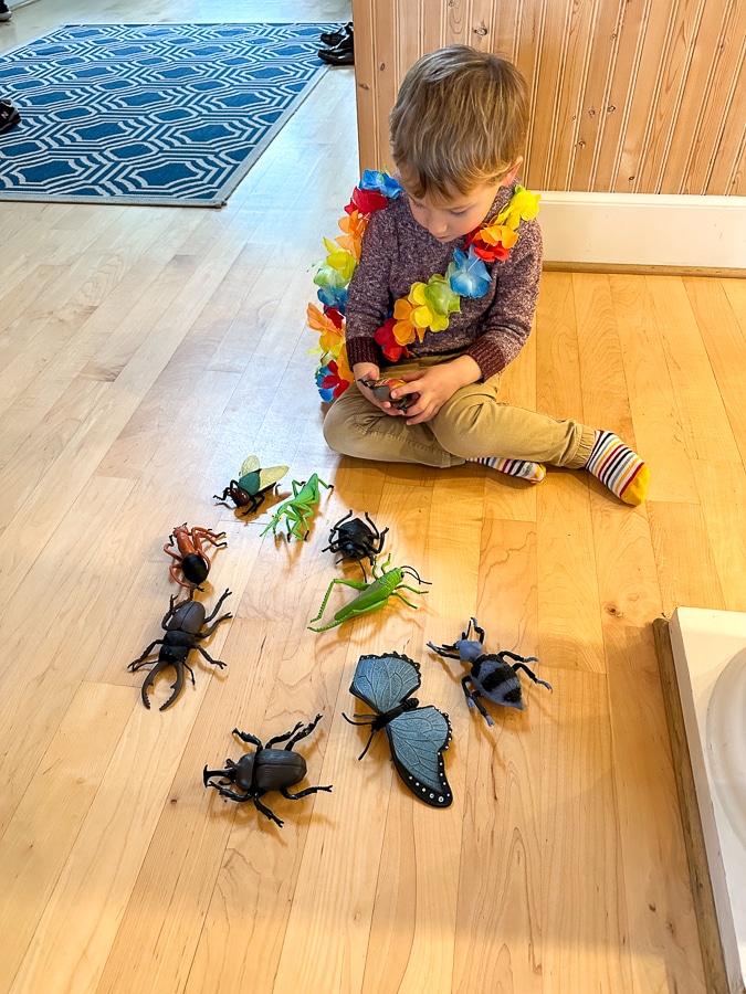 Birch and bug toys Birch and bug toys