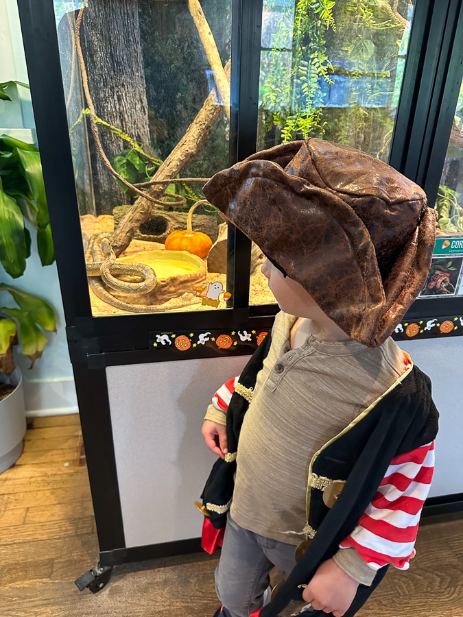 BHI Conservancy snakes BHI Conservancy snakes | Halloween on Bald Head Island