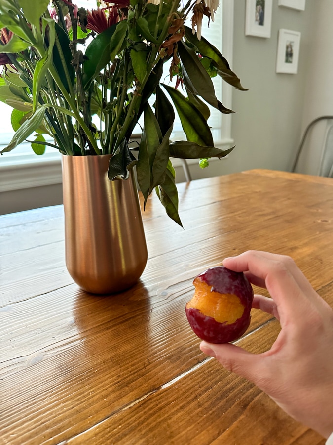 half-eaten plum half-eaten plum | All About Autumn