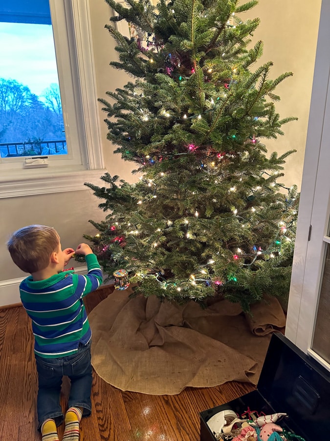 Fresh Christmas tree at home Fresh Christmas tree at home