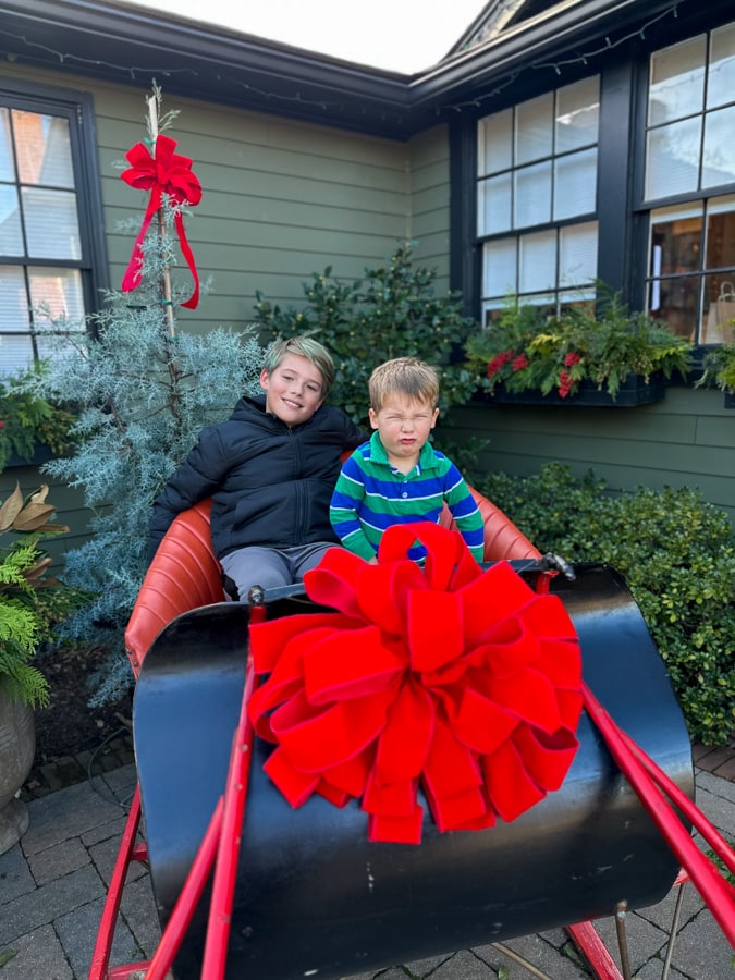 Santa's sleigh brothers