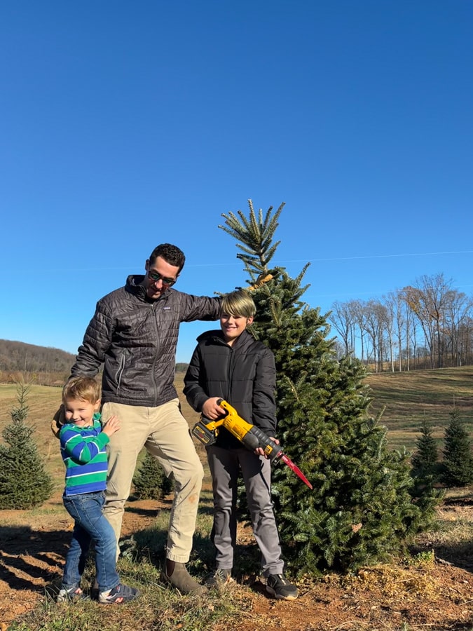 fresh Christmas tree Christmas tree shopping