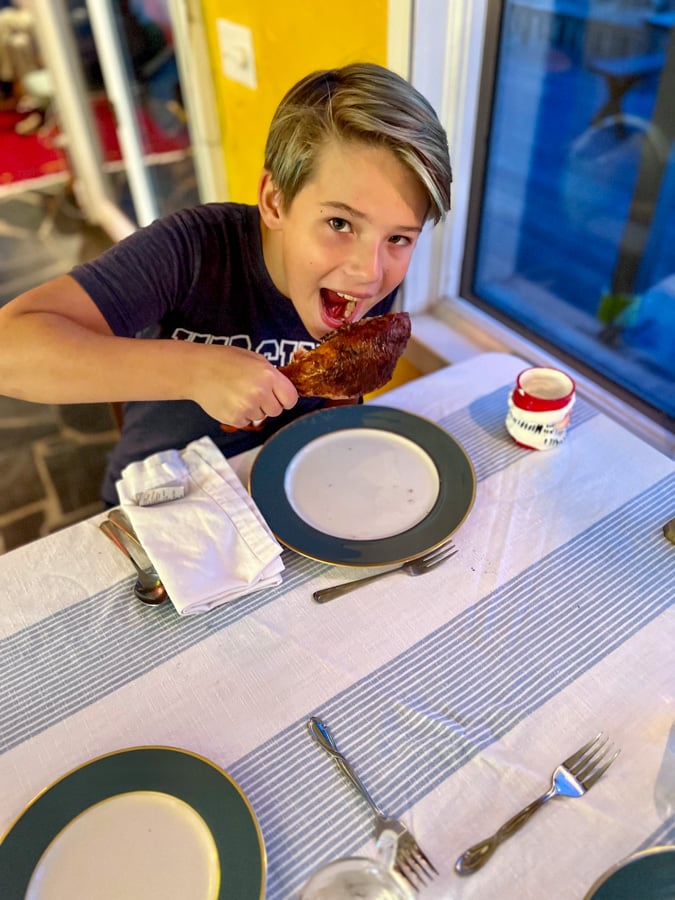 Turkey leg Turkey leg