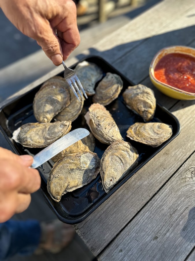 roasted oysters | Thanksgiving 2022