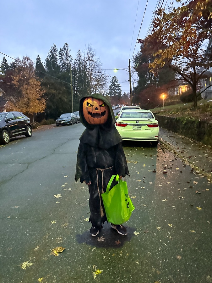 Halloween Recap Halloween Recap | That Time Of Year