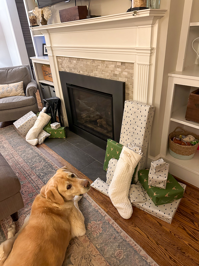 Santa Guard Dog Santa Guard Dog