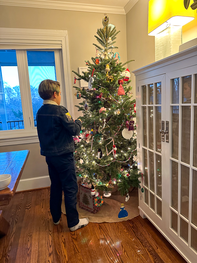 Mazen and tree Mazen and tree | Christmas Break 2022 Recap