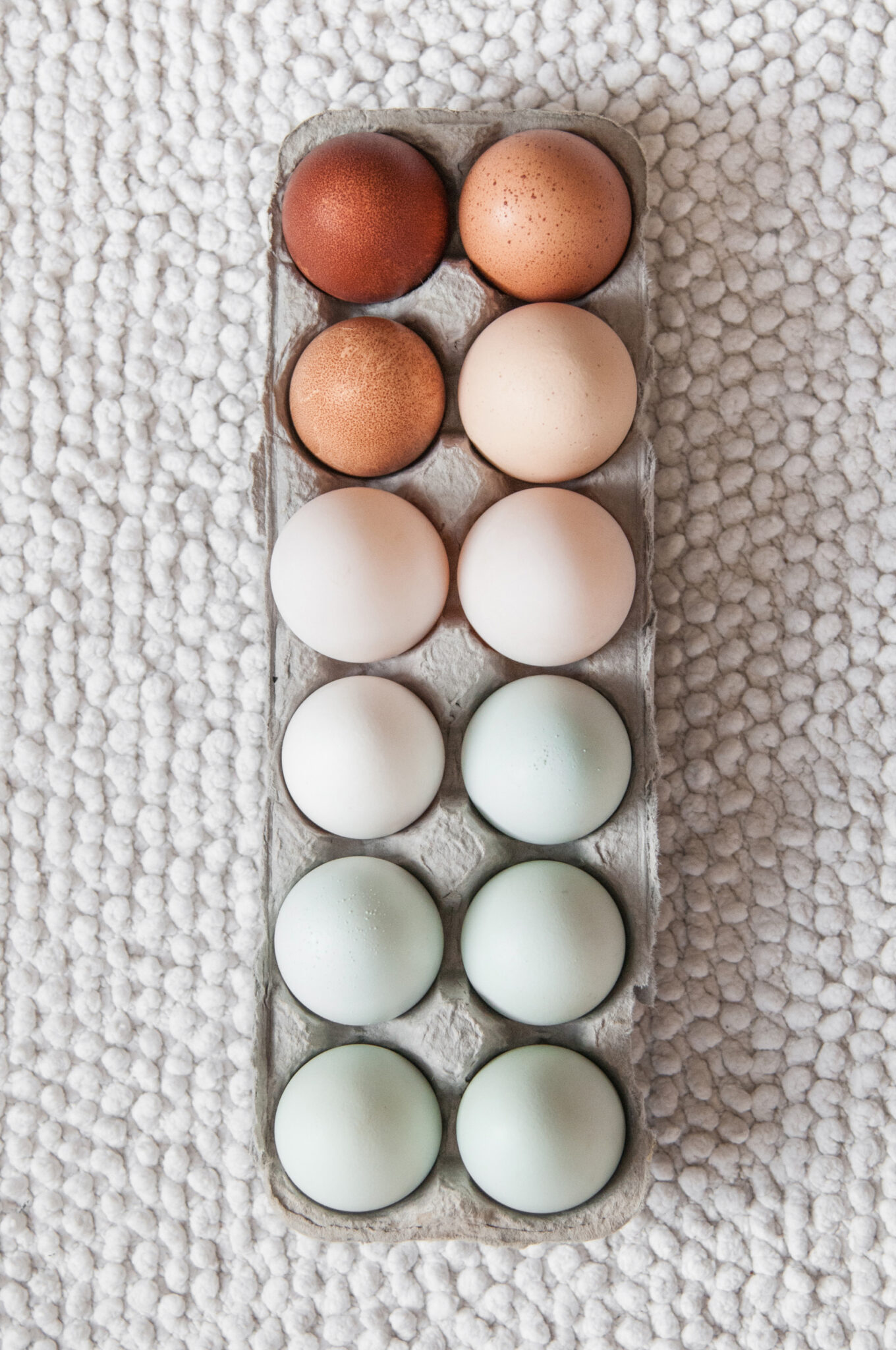 tray of eggs tray of eggs