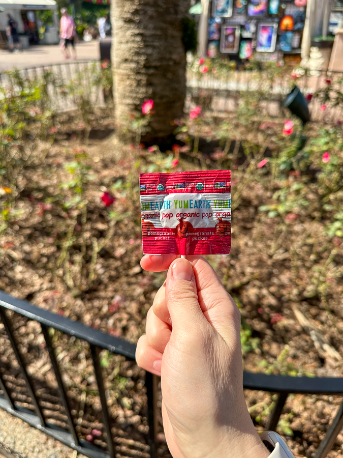 Lollipops for Disney Lollipops for kids at Disney