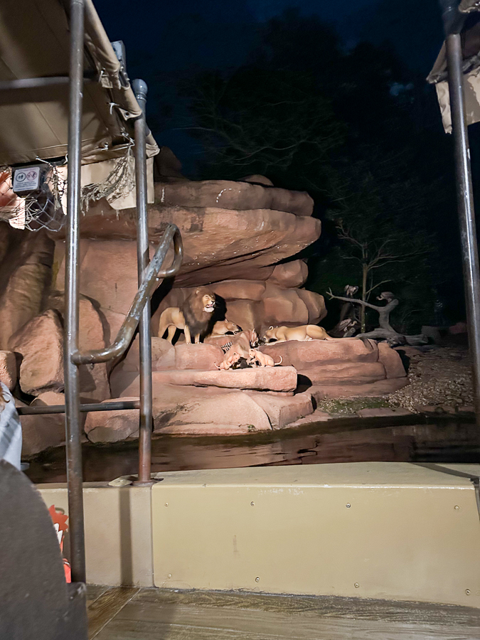 Jungle Cruise Jungle Cruise | Disney Trip: Magic Kingdom