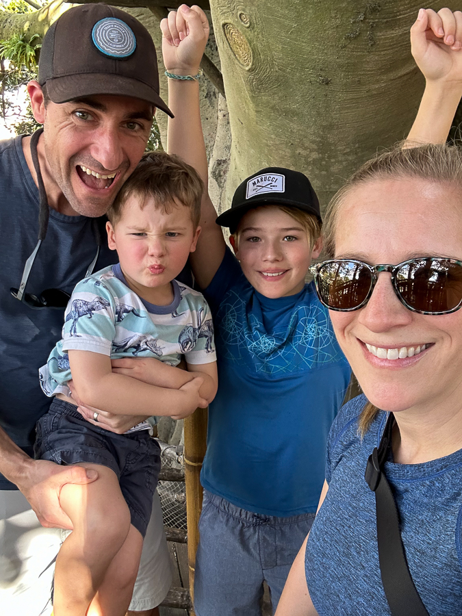 Swiss Family Robinson Treehouse