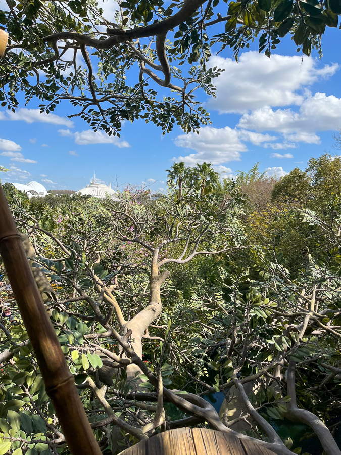 Swiss Family Robinson Treehouse