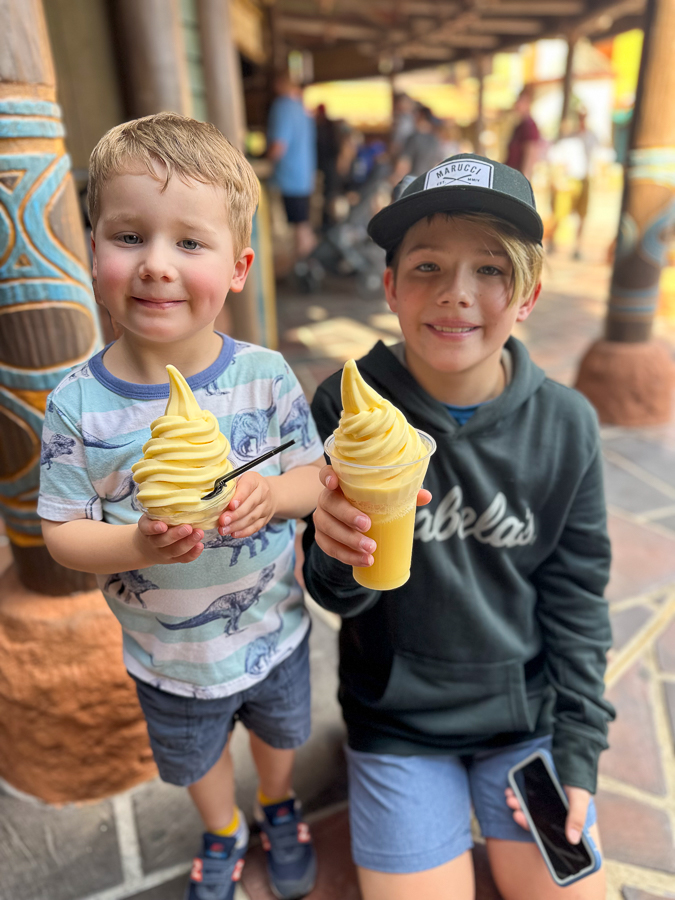 Dole Whip Snack Dole Whip Snack