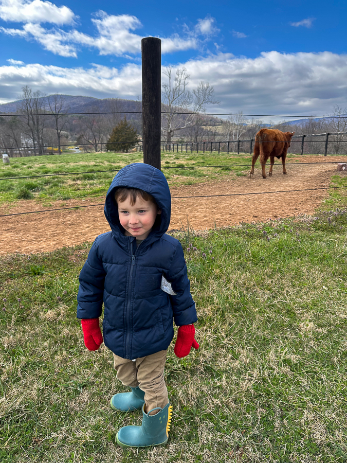 Birch farm outfit