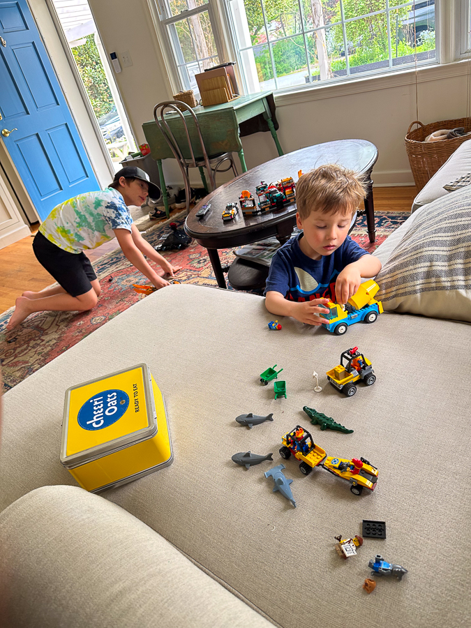 boys playing in living room boys playing in the living room