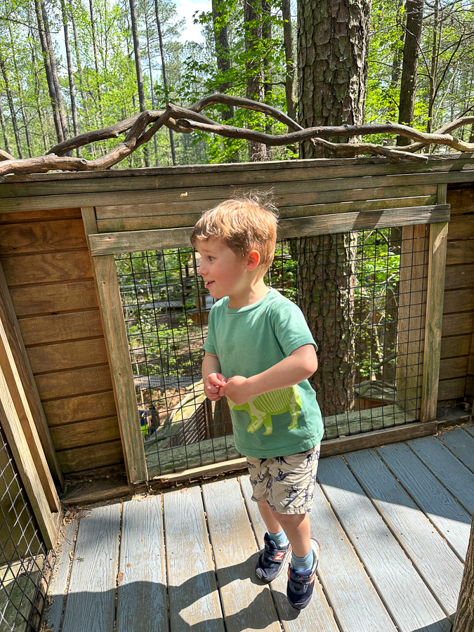 Museum of Life and Science treehouse Museum of Life and Science treehouse
