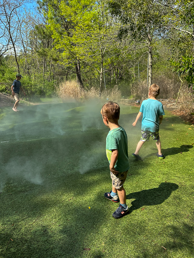 Kids Into The Mist Kids Into The Mist