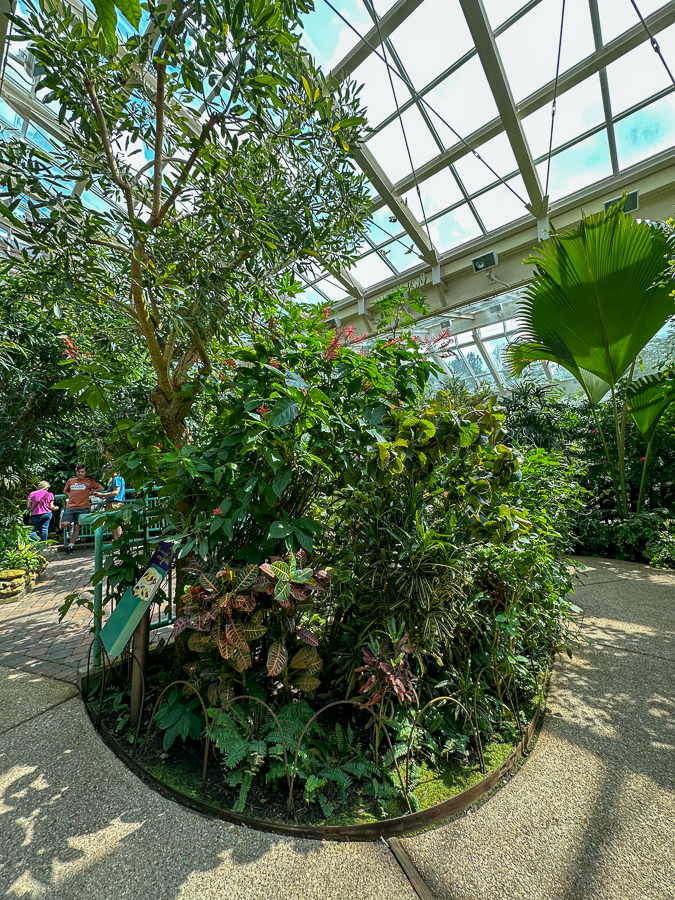 The Butterfly House The Butterfly House